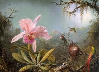 Heade, Martin Johnson - Cattelya Orchid and Three Brazilian Hummingbirds